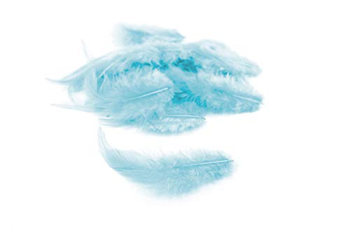 3g Hahnenkreuz Federn ca. 8-13cm (hellblau 311) // Dekofedern Bastelfedern Federn Hahn Natur Schmuckfedern Vogelfedern Hahnenfedern von Creativery