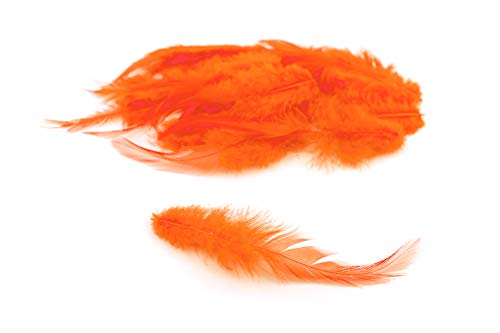 3g Hahnenkreuz Federn ca. 8-13cm (orange 668) // Dekofedern Bastelfedern Federn Hahn Natur Schmuckfedern Vogelfedern Hahnenfedern von Creativery