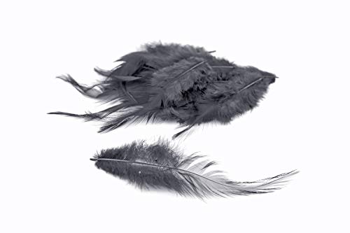 3g Hahnenkreuz Federn ca. 8-13cm (silber/grau 077) // Dekofedern Bastelfedern Federn Hahn Natur Schmuckfedern Vogelfedern Hahnenfedern von Creativery
