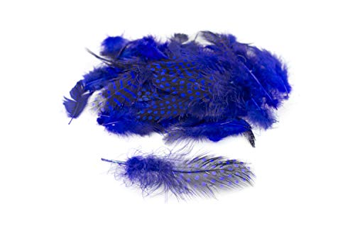 3g Perlhuhnfedern ca. 3-10cm (blau 352 / königsblau/royalblau) // Natur Perlhuhn Federn Dekofedern Bastelfedern Deko von Creativery