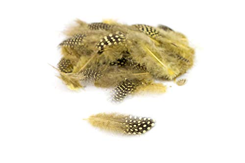 3g Perlhuhnfedern ca. 3-10cm (gelb 645) // Natur Perlhuhn Federn Dekofedern Bastelfedern Deko von Creativery