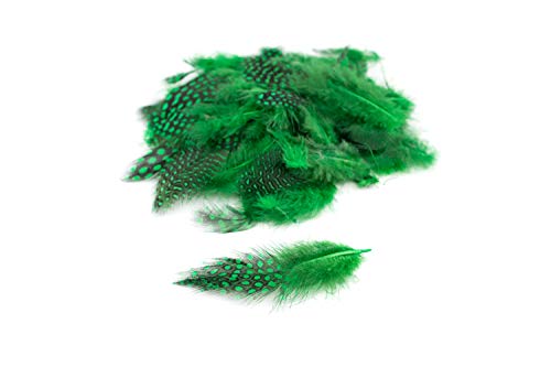 3g Perlhuhnfedern ca. 3-10cm (grün 580) // Natur Perlhuhn Federn Dekofedern Bastelfedern Deko von Creativery