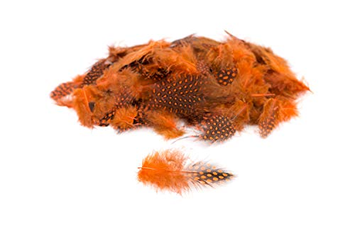 3g Perlhuhnfedern ca. 3-10cm (orange 668) // Natur Perlhuhn Federn Dekofedern Bastelfedern Deko von Creativery