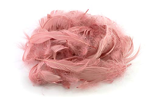 5g Gänsefedern ca. 7-12cm (altrosa 158) // Gänseflaum Gänsedaunen Federn Bastelfedern Dekofedern Deko Natur von Creativery
