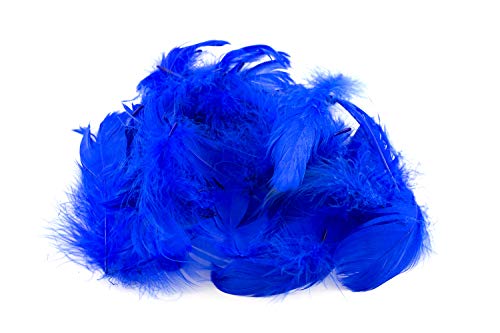 5g Gänsefedern ca. 7-12cm (blau 352 / königsblau/royalblau) // Gänseflaum Gänsedaunen Federn Bastelfedern Dekofedern Deko Natur von Creativery