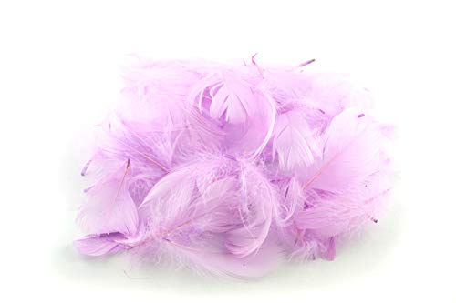 5g Gänsefedern ca. 7-12cm (flieder 462H) // Gänseflaum Gänsedaunen Federn Bastelfedern Dekofedern Deko Natur von Creativery
