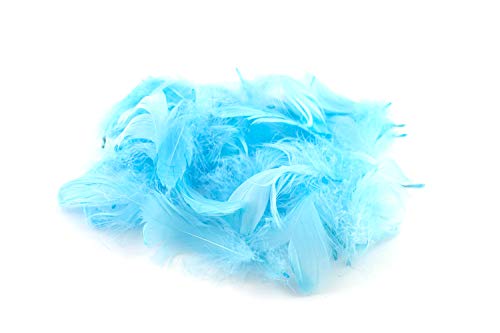 5g Gänsefedern ca. 7-12cm (hellblau 311) // Gänseflaum Gänsedaunen Federn Bastelfedern Dekofedern Deko Natur von Creativery
