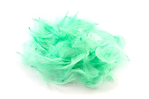 5g Gänsefedern ca. 7-12cm (mintgrün/mint 513) // Gänseflaum Gänsedaunen Federn Bastelfedern Dekofedern Deko Natur von Creativery