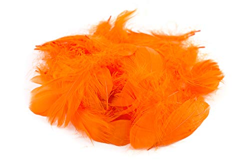 5g Gänsefedern ca. 7-12cm (orange 668) // Gänseflaum Gänsedaunen Federn Bastelfedern Dekofedern Deko Natur von Creativery
