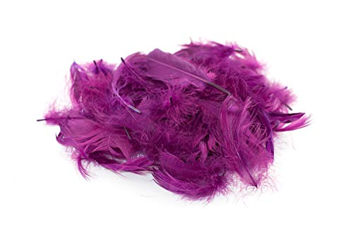 5g Gänsefedern ca. 7-12cm (pflaume 285) // Gänseflaum Gänsedaunen Federn Bastelfedern Dekofedern Deko Natur von Creativery