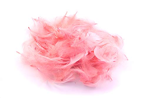 5g Gänsefedern ca. 7-12cm (rosa 148) // Gänseflaum Gänsedaunen Federn Bastelfedern Dekofedern Deko Natur von Creativery