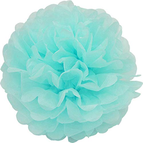 Creativery 1 Papier Pompon 25cm (helltürkis/Aqua 314) // Pompoms Bommel Papier Kugel Seidenpapier Pom Pom Deko Hängedeko Raumdeko Blumen von Creativery