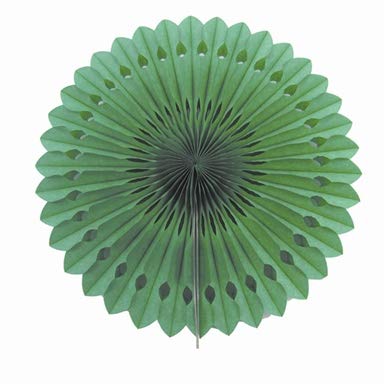 Creativery 1 Papierfächer 25cm (grün 580) // Deko Papier Fächer Rosetten Blumen Raumdeko Papierrosetten Hängedeko von Creativery