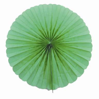 Creativery 1 Papierfächer 35cm (hellgrün 556) / Deko Papier Fächer Rosetten Blumen Raumdeko Papierrosetten Hängedeko von Creativery