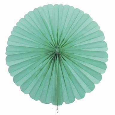 Creativery 1 Papierfächer 35cm (mintgrün/Mint 513) / Deko Papier Fächer Rosetten Blumen Raumdeko Papierrosetten Hängedeko von Creativery
