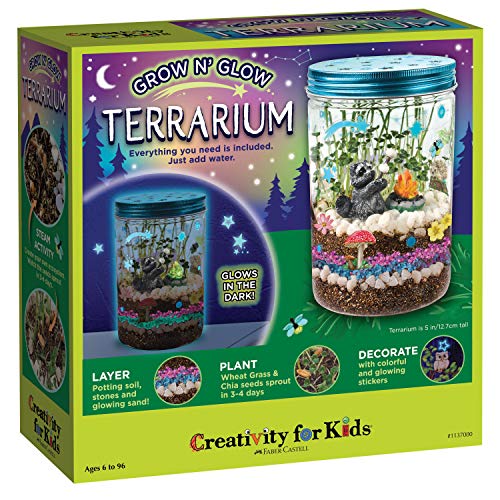 Creativity for Kids Grow 'N Glow Terrarium by Creativity for Kids von Creativity for Kids