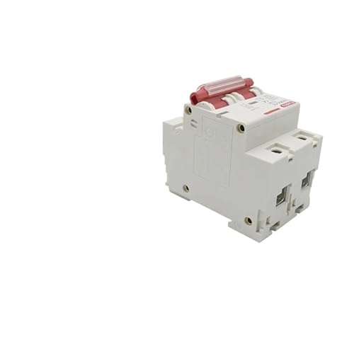 Fi Ls Schalter,Fehlerstrom-Schutzschalter 1pc DC 1000V 1P 2P 3P 4P 80A 100A 125A Solar Mini Circuit Breaker Überlast Schutz Schalter MCB For Photovoltaik PV System(DC 2P,100A) von Crepundia