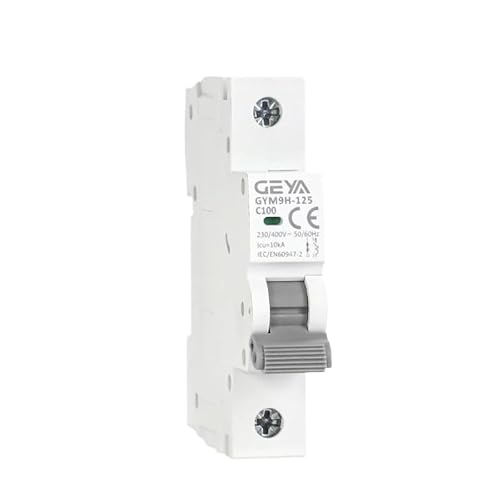 Fi Ls Schalter,Fehlerstrom-Schutzschalter GYM9H-125 AC Elektrischer Leistungsschalter 80A 100A 125A 1P 2P 3P 4P 230V 400V 10KA MCB(2P,C125A) von Crepundia