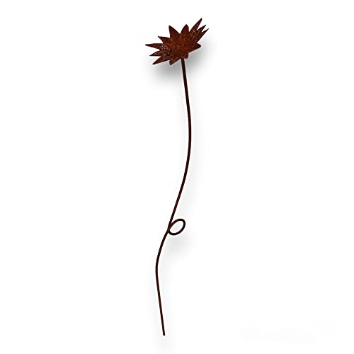 Crispe home & garden Metall Gänseblümchen groß - Massive Dekoration für den Garten - wetterfest und standfest - aus Vollmetall mit Edelrost-Patina – Höhe 80 cm Crispe home & garden Metall Gänseblümchen groß - Massive Dekoration für den Garten - wetterfest und standfest - aus Vollmetall mit Edelrost-Patina – Höhe 80 cm von Crispe home & garden