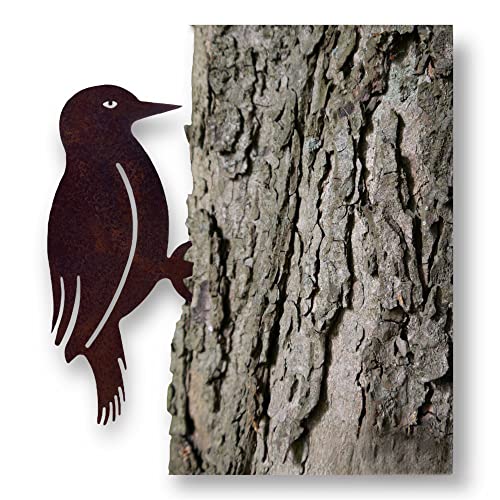 Crispe home & garden Kleiner Deko Eisen Specht Vogel zum Anbringen an Baum, Holz in Edelrost von Crispe home & garden