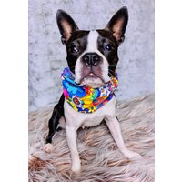 Sommer Haustier Schal Handgemachter Loop Schal Aus Altstoff von CritterHarmony