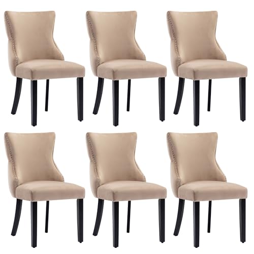 Crlnaup 4-Fußstuhl, Stuhl Beige Samt Esszimmerstuhl, mit Knopfsteppung, Gestell aus Massivholz, Beige(Set, 6 St) von Crlnaup