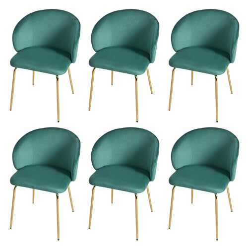 Crlnaup 6 Esszimmerstühle Modern Mit Samtbezug, Bequeme stühle esszimmer 6er Set Mit Armlehne Und Goldenen Metallbeinen, Stilvolle Wohnzimmer Stühle Für Modernes Esszimmer Und Küche, Grün von Crlnaup