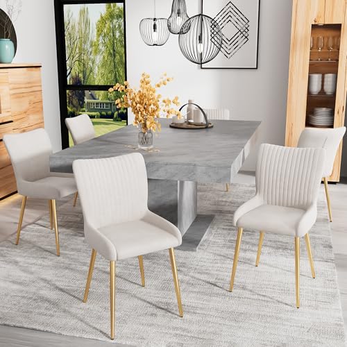 Crlnaup Samt-Esszimmerstuhl, 2er-Set, luxuriös, Wohnzimmer, Schlafzimmer, Lounge-Stuhl mit Vier Goldene Metallstützbeinen, Lendenwirbelstütze,Beige von Crlnaup