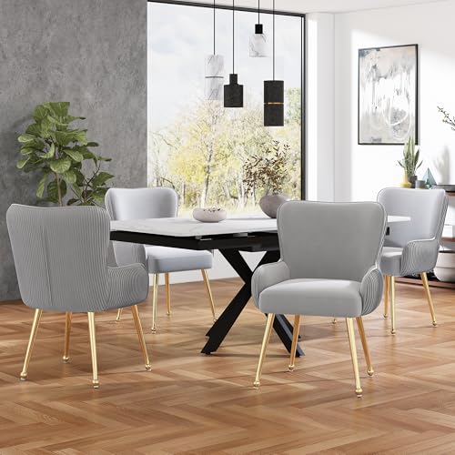 Crlnaup Samt-Esszimmerstuhl, 2er-Set, luxuriös, Wohnzimmer, Schlafzimmer, Lounge-Stuhl mit Vier Goldene Metallstützbeinen, Mit Armlehnen und verstellbaren Füßen, Lendenwirbelstütze,Grau von Crlnaup