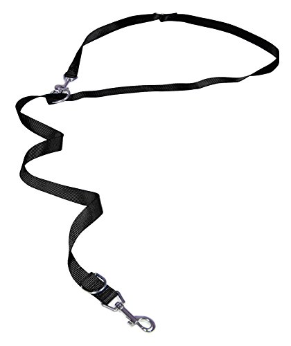 Amtra Croci C5MZ0034 Nylon Leine, 19 x 1200 mm, schwarz Amtra Croci C5MZ0034 Nylon Leine, 19 x 1200 mm, schwarz von Croci