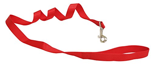 Amtra Croci C5MZ0040 Nylon Leine, 25 x 1200 mm, rot Amtra Croci C5MZ0040 Nylon Leine, 25 x 1200 mm, rot von Croci