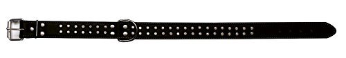 Croci C5061694 Doppelhalsband Enjoy mit Ziernieten, 50 X 2.0 cm, schwarz Croci C5061694 Doppelhalsband Enjoy mit Ziernieten, 50 X 2.0 cm, schwarz von Croci