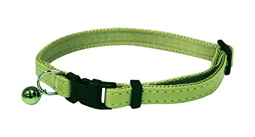 Croci C5080521 Katzehalsbänder Glossy, grün Croci C5080521 Katzehalsbänder Glossy, grün von Croci