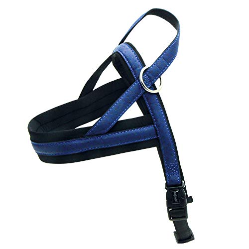 Croci C5080601 Kunstleder Geschirr Mylord Swedish, 53-66 x 40 mm, blau Croci C5080601 Kunstleder Geschirr Mylord Swedish, 53-66 x 40 mm, blau von Croci
