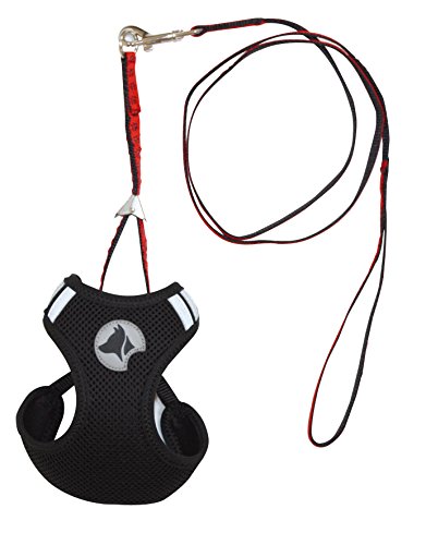 Croci C5081650 Hiking Geschirr für Hunde, 41-47 cm, schwarz Croci C5081650 Hiking Geschirr für Hunde, 41-47 cm, schwarz von Croci