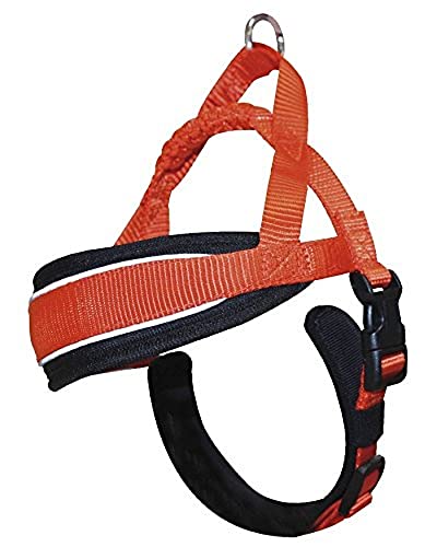 Croci C5081873 Hiking Geschirr Endurance, orange von Croci