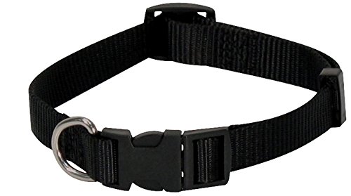 Croci C5MZ0204 Nylonhalsband, 10 x 330 mm, schwarz Croci C5MZ0204 Nylonhalsband, 10 x 330 mm, schwarz von Croci