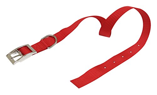 Croci C5MZ0230 Nylonhalsband, 19 x 450 mm, rot von Croci