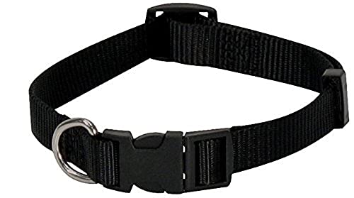 Croci C5MZ0254 Nylonhalsband, 25 x 550 mm, schwarz Croci C5MZ0254 Nylonhalsband, 25 x 550 mm, schwarz von Croci