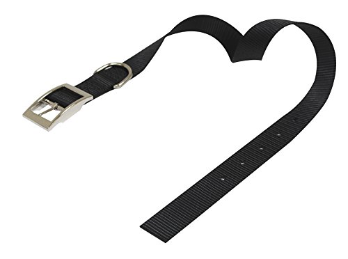 Croci C5MZ0274 Nylonhalsband, 25 x 650 mm, schwarz Croci C5MZ0274 Nylonhalsband, 25 x 650 mm, schwarz von Croci