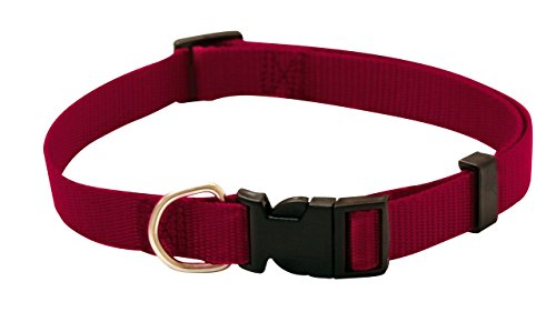 Croci C5MZ0300 Nylonhalsband Stufenlos Verstellbar, 16 mm, rot Croci C5MZ0300 Nylonhalsband Stufenlos Verstellbar, 16 mm, rot von Croci