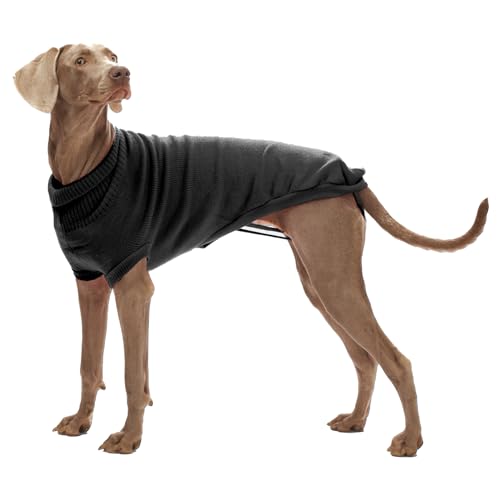 Croci C7074025 Rollkragenpullover, Stoccolma Schwarz, 65 cm Croci C7074025 Rollkragenpullover, Stoccolma Schwarz, 65 cm von Croci