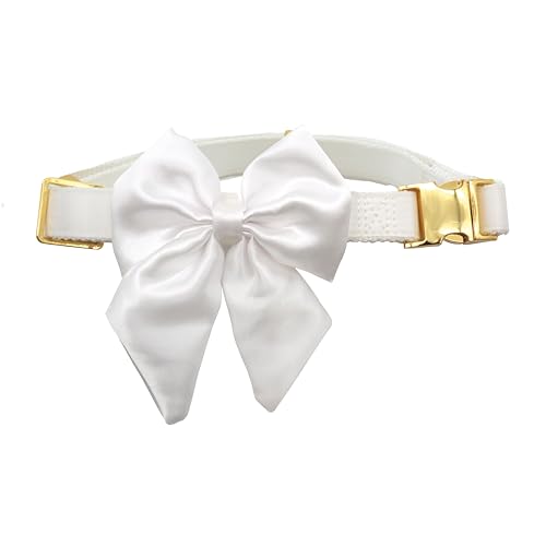 Croci Ceremony Bride Hundehalsband für weibliche Hunde, mit Abnehmbarer Satin-Schleife, weiß mit goldenen Details, für kleine, mittelgroße und große Hunde, M/32-50 cm von Croci