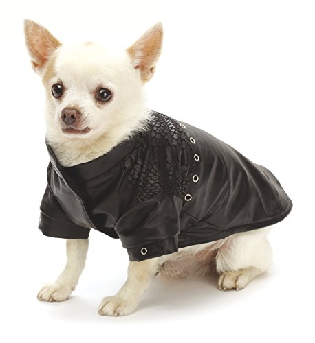 Croci Shady Jacke für Hunde, 20 cm von Croci