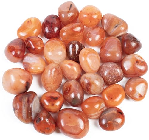 Crocon Carnelian Tumbled Stones and Crystals Bulk, Polished Stones - Rock Collection - vase Filler tumbles - Crystals Healing Reiki - Gemstone Gifts - Good Luck - Fountain tumbles | Size 20 mm, 1LB von Crocon