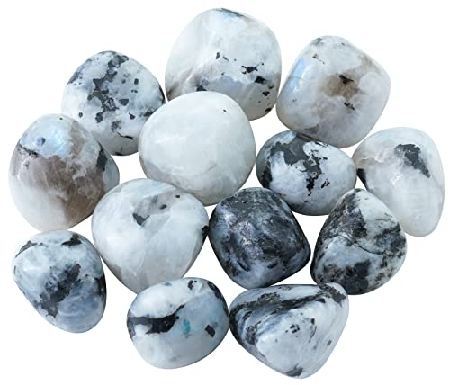 Crocon Rainbow Moonstone Tumbled Stones and Crystals Bulk 13 Pieces Set for Chakra Reiki Crystals Polished Stones Gemstones and Crystals Tumble for Gift Home Decor. Crocon Rainbow Moonstone Tumbled Stones and Crystals Bulk 13 Pieces Set for Chakra Reiki Crystals Polished Stones Gemstones and Crystals Tumble for Gift Home Decor. von Crocon