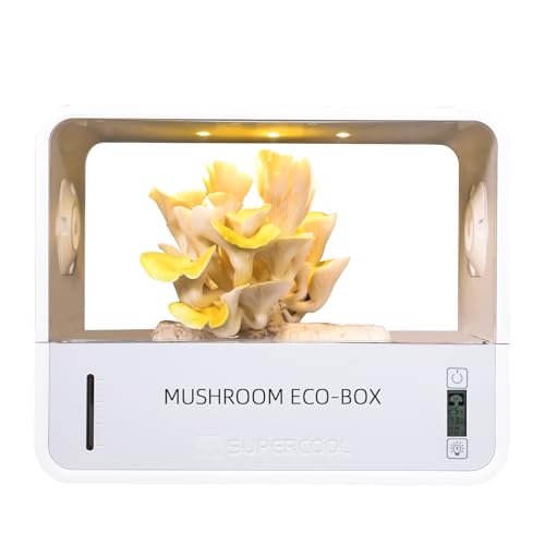 Crownow Pilzzucht Box mit Temperaturanzeige,Pilze Züchten Set Indoor Pilzzuchtset mit Feuchtigkeitsanzeige Wachstumslicht,Intelligente Pilze Züchten Box für Pilzzüchter von Crownow