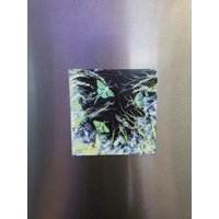 Luna Motte Magnet, Gruseliger Käfer Insekt Halloween Natur Kunst, Geschenk Korbfüller, Geschenke Für Sie von CrumksCreations