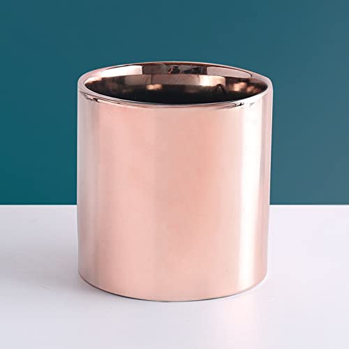 The Nordic Galvanisierte Keramik-Blumentopf, Roségold, Silber, Sukkulenten, Blumentopf, Pflanze, Haus, Garten, Büro, Schreibtisch-Dekoration (Roségold, 12 x 12 cm) von Crysdaralovebi