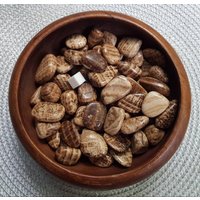 Aragonit Edelstein Getrommelt Stein/Natürliche Kristall Tumblestone 1 X 20mm - 25mm von CrystalCuriositiesUK